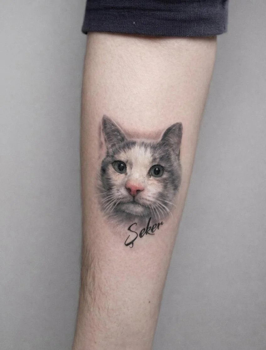 Mikro Realizm Kedi Portresi